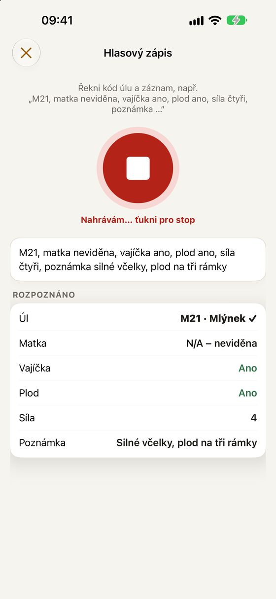 U úlu: ťuknu a nadiktuji